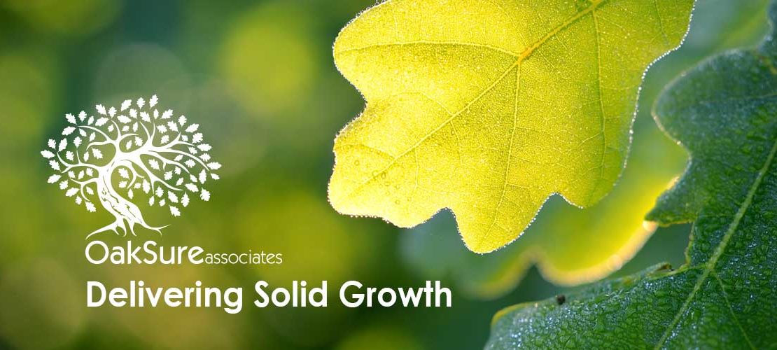 Oaksure Associates Delivering Solid Growth Image with oak leaves